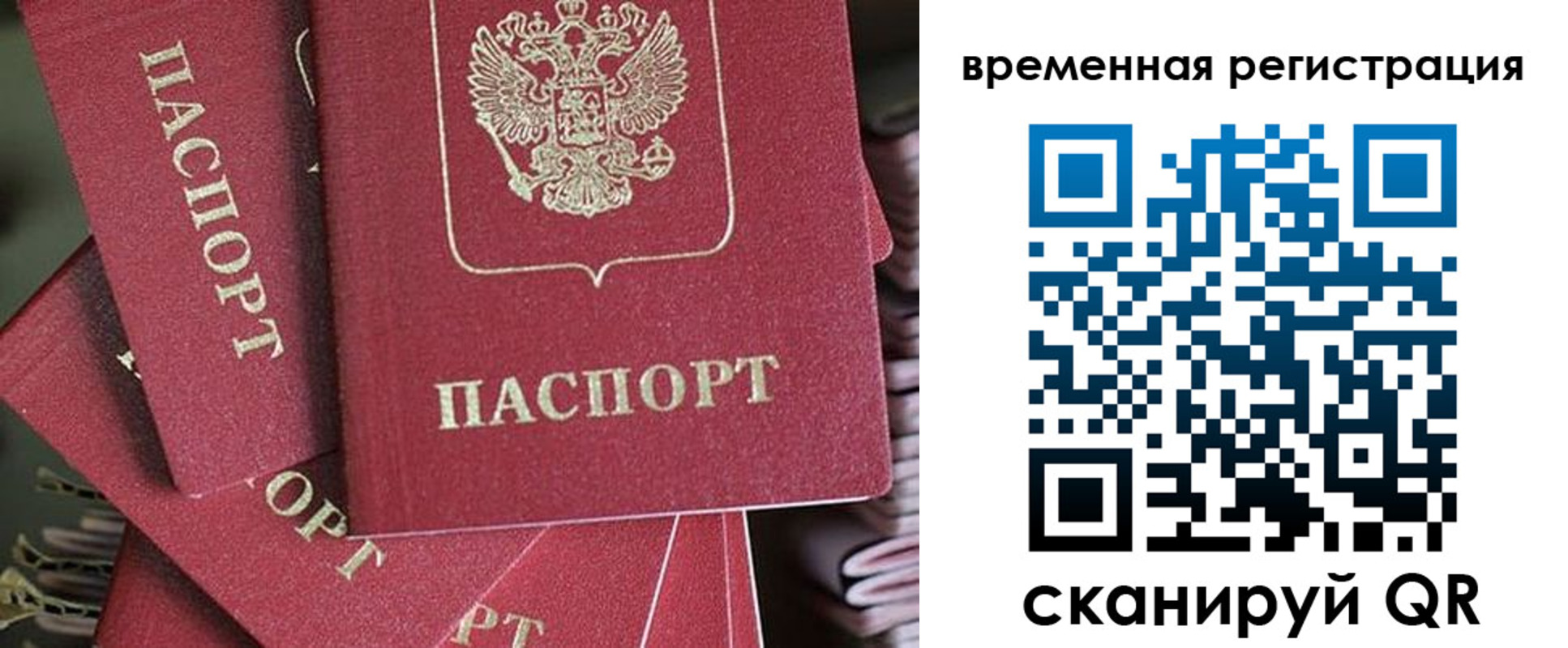 прописка в квартире в Новосибирской области